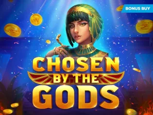 Chosen by the Gods game cover